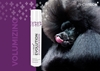 Picture of Show Tech+ Evolution Hair Spray 500 ml
